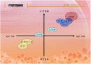 [브랜드마케팅]실버세대 여성들을 위한 한방 기능성화장품 출시전략 (A+리포트) 16페이지