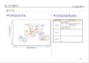 전략적 사업계획서 작성방법 41페이지