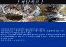 설악산 파워포인트로 정리한 것 8페이지