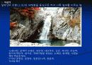 설악산 파워포인트로 정리한 것 11페이지