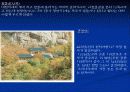 설악산 파워포인트로 정리한 것 15페이지