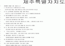 2008년도 제주경제 발전전략 2페이지
