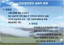노인요양보험제도의 정책과제 6페이지