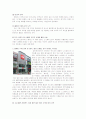 [마케팅관리]더 노스페이스(THE NORTH FACE) 마케팅전략 및 성공요인 분석 (A+리포트) 8페이지