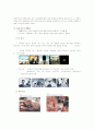 [스포츠마케팅]‘나이키(Nike)’ 마케팅전략 분석 및 크리에이티브전략 18페이지