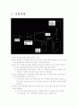 PIV 유동 가시화 실험 3페이지