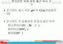 철근 부식에 관하여~ 3페이지