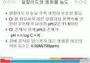 철근 부식에 관하여~ 8페이지