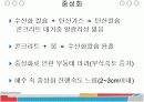 철근 부식에 관하여~ 11페이지