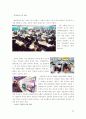 대학교 조직의 목적과 정당성에 대한 모든것  38페이지