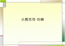 [수학교육론]스켐프ppt 1페이지
