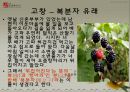 전북의 향토음식 조사 발표 자료 37페이지