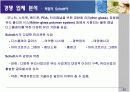 삼성코닝정밀유리 경영사례분석 12페이지