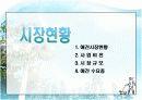 [창업론]인터넷 애견 쇼핑몰 사업계획서(A+리포트) 7페이지