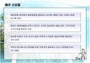 [창업론]인터넷 애견 쇼핑몰 사업계획서(A+리포트) 11페이지