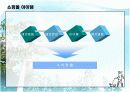 [창업론]인터넷 애견 쇼핑몰 사업계획서(A+리포트) 13페이지