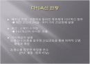 다이옥신[DIOXIN], 환경과 생물에 미치는 영향 5페이지