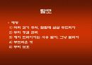 방사선 치료 합병증 관리 16페이지