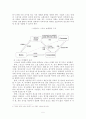 스포츠 마케팅을 통한 우리나라 글로벌 기업의 해외시장 진출에 대한 고찰 5페이지