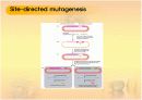 mutagenesis 6페이지