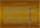 외국인공직에 대한 한일법비교 3페이지