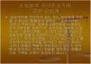 외국인공직에 대한 한일법비교 9페이지