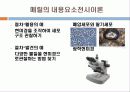 메릴의 내용요소전시이론 14페이지