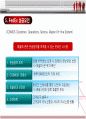 페덱스(FedEx)의 전략분석과 성공요인 30페이지