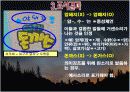 [사회계열맞춤형글쓰기] 맞춤법 사례 15페이지