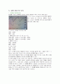 555 timer로 구성한 회로에 관한 실험 6페이지