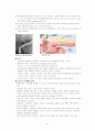 내과질환, 검사 및 간호, 튜브 및 관리, 병원 감염관리, pt care술 81페이지