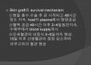 피부이식과 간호 11페이지