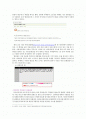 인터넷 언어의 무분별한 폭력성 2페이지