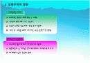 스포츠영웅주의 13페이지