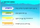 스포츠영웅주의 17페이지