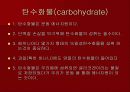 웨이트트레이닝과 영양 4페이지