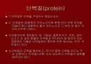 웨이트트레이닝과 영양 7페이지