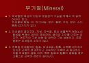 웨이트트레이닝과 영양 13페이지