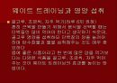 웨이트트레이닝과 영양 23페이지