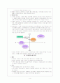 삼양라면 마케팅 4페이지