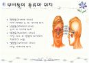 호흡기계 구조와 기능 ppt 12페이지