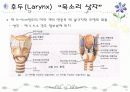 호흡기계 구조와 기능 ppt 16페이지