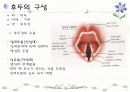 호흡기계 구조와 기능 ppt 17페이지