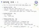 호흡기계 구조와 기능 ppt 18페이지