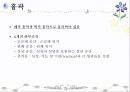 호흡기계 구조와 기능 ppt 23페이지