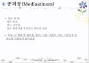 호흡기계 구조와 기능 ppt 34페이지