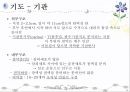 호흡기계 구조와 기능 ppt 38페이지