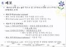 호흡기계 구조와 기능 ppt 42페이지