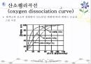 호흡기계 구조와 기능 ppt 56페이지