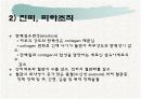 노인의 피부.감각기계 변화 6페이지